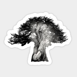 Baobab in Silhouette with Elephant Face Overlay Sticker